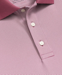 Performance Series Micro Stripe Jersey Polo Shirt | Brooks Brothers discount