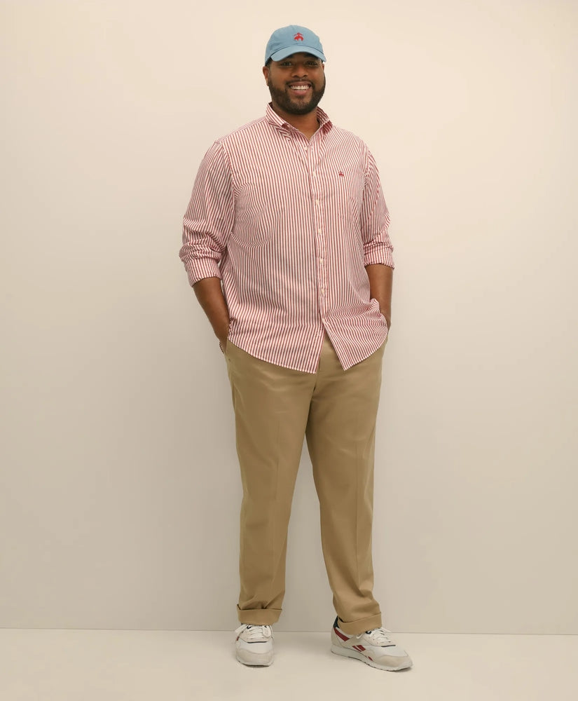 Big & Tall Friday Shirt, Poplin Bengal Stripe | Brooks Brothers discount