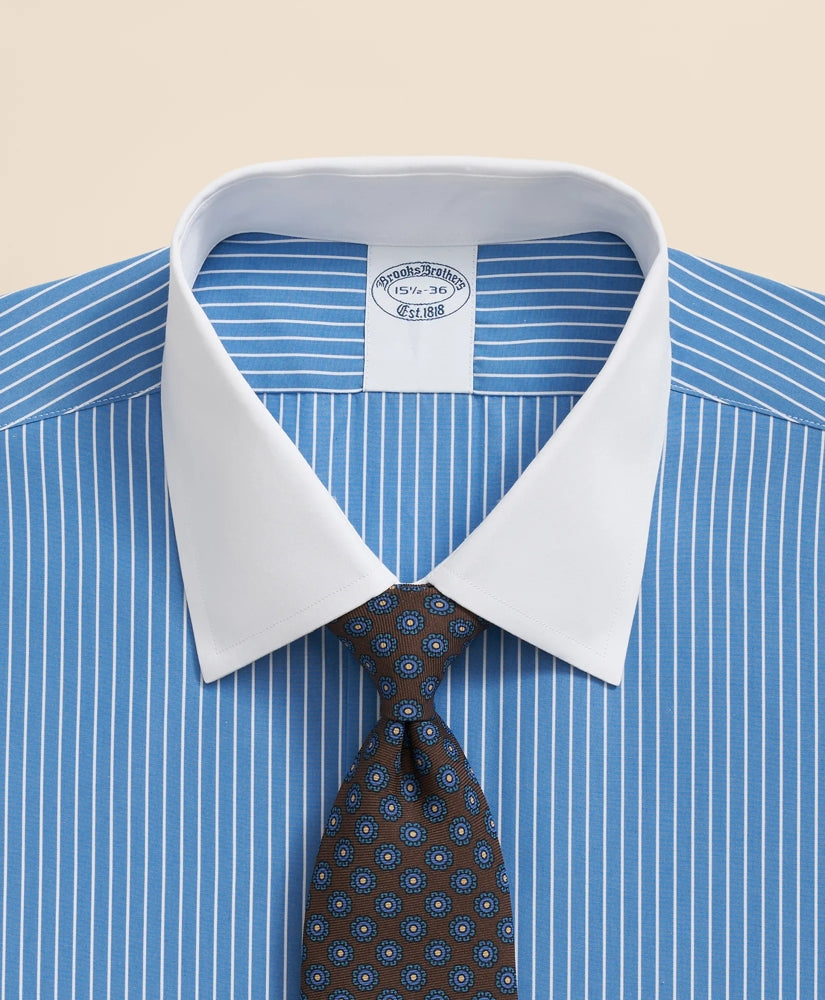 Pure Supima® Cotton Regular-Finish Ainsley Collar, Ground Stripe Dress Shirt | Brooks Brothers online shop